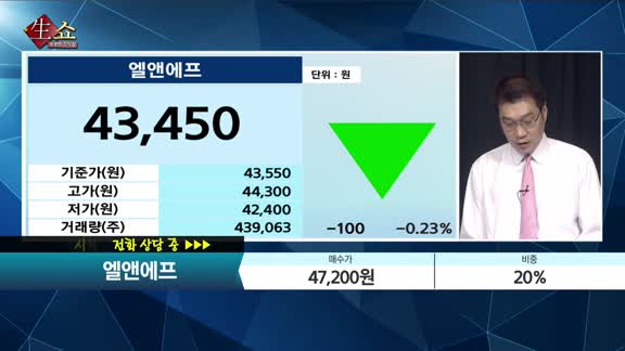 [종목상담] 엘앤에프(066970)  