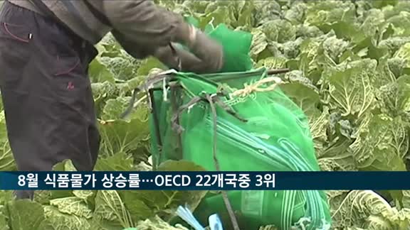 8월 한국 식품물가 상승률 22개국 3위…최장기간 장마 영향