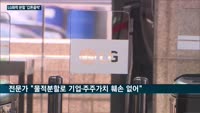 배터리 뗀 LG화학에 쏟아지는 '개미'의 원성…"막대한 손해" 국민청원까지