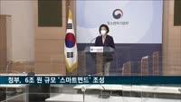 정부, 비대면·디지털·그린뉴딜 중심 6조 규모 '스마트 펀드' 조성