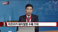 [빨간 맛 종목] 체시스(033250)