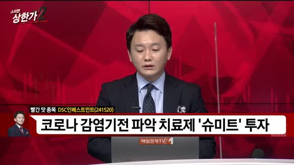 [빨간 맛 종목] DSC인베스트먼트(241520)
