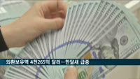 외환보유액 4천265억 달러…한달새 60억 달러 증가