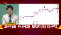 [신일섭 소장의 색다른 VIEW] 테슬라 사상 최고치 경신…배터리 관련주도 '훨훨'