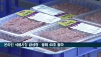 코로나로 온라인 식품시장 급성장…올해 40조원 돌파