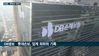고객에 보험금 지급 능력서 DB생명·롯데손보가 업계 '꼴찌'