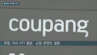 "한국판 아마존프라임은 '나야 나'"…전자상거래기업 '네이버·쿠팡·11번가' 오버더톱(OTT) 시장 개척에 ...