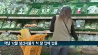 작년 12월 생산자물가 3개월 만에 오름세
