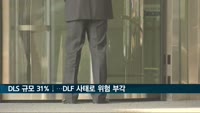 DLS 규모 31%↓…DLF 사태로 위험 부각