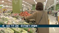 파·달걀 가격 급등…생산자물가 3개월째↑
