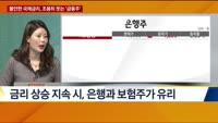 [애널리스트에게듣는다] 불안한 금리, 조용히 웃는 ‘금융주’