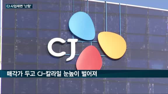 CJ그룹, 뚜레주르 매각 실패…비주력사업 정리 차질 불가피