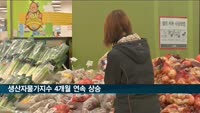 생산자물가 4개월째 상승…풋고추 127%·배추 53%·파 42%↑
