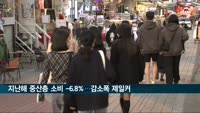 지난해 중산층 소비 -6.8%…감소폭 제일커