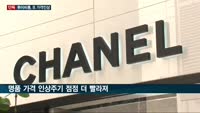 [단독] 루이비통·프라다·보테가 등 명품 브랜드, 또 줄줄이 '가격인상'