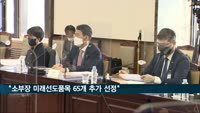 홍남기 "소부장 미래선도품목 65개 추가 선정"