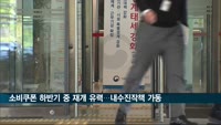 소비쿠폰 하반기 중 재개 유력…내수진작책 가동