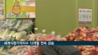 세계식량가격지수 12개월 연속 상승