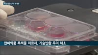 유한·한미·메드팩토, 미국임상종양학회 뜨겁게 달궜다…신약 연구결과 잇따라 공개