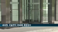 금감원, KB금융지주·은행 종합검사 착수