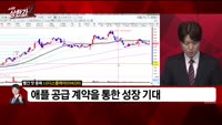 [빨간 맛 종목] LG디스플레이 (034220)
