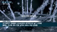 삼성·SK·LG그룹, 식기세척기 시장서 자존심 한판 승부 '예고'
