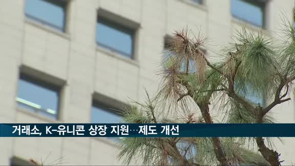 거래소, K-유니콘 상장 지원…제도 개선