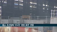 중소 조선업체 15%만 '경영 호전' 전망