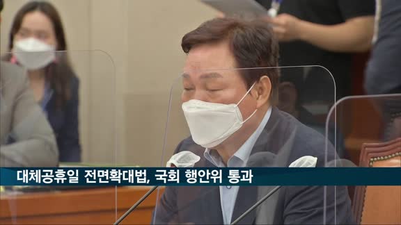 대체공휴일 전면확대법, 국회 행안위 통과