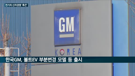 국내 자동차 시장 점령한 '전기차'…하반기에도 기아 'EV6'·제네시스 eG80 등 줄줄이 출격