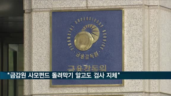 감사원 "금감원, 사모펀드 돌려막기 확인하고도 검사 지체"