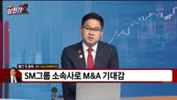 [빨간 맛 종목] SM C&C (048550)