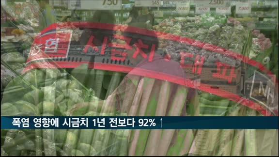 폭염에 채솟값 급등…시금치 1년 전보다 92%↑