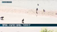 용인시 '반도체클러스터 조성' 상생협력 '올인'…평택시 등 지자체간 '물논란' 해결은 '과제'