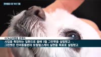 종근당바이오·유한양행·GC녹십자랩셀, 펫시장으로 사업영토 확장 나서