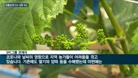 유통가도 'ESG'가 대세…SPC삼립·롯데GRS·스타벅스코리아·애경, 발빠른 '행보'