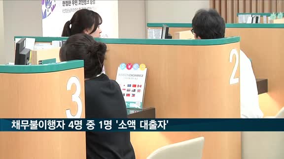 채무불이행자 25%, 500만원 이하 소액 대출자