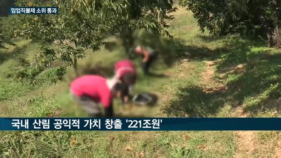 '임업직불제' 국회소위 통과에 임업인 "대환영" 모처럼 '함박웃음'