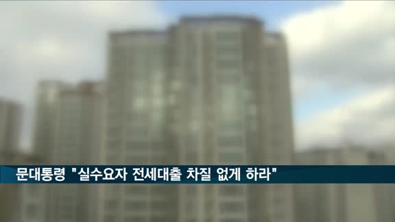 문대통령 "실수요자 전세대출 차질 없게 하라"