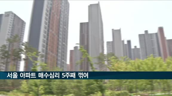 서울 아파트 매수심리 5주째 꺾여