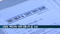 산림청, 백담사에 '만해 단풍나무 숲 조성'