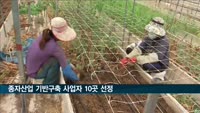 내년 종자산업 기반구축 사업자에 여주농협 등 10곳 선정
