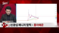 [특이점 종목] 흥아해운 (003280)