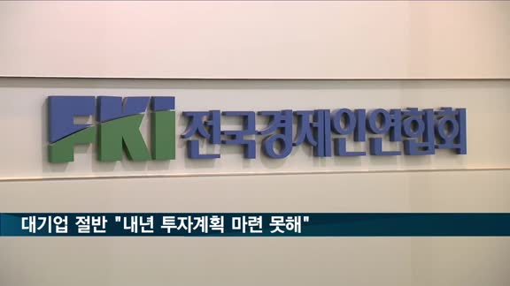 대기업 절반 "내년 투자 계획 없거나 미정"