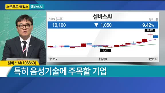 [소문으로 들었소] 셀바스AI