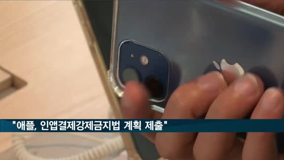 "애플, 인앱결제강제금지법 이행계획 제출 의사"