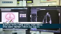 세계 첫 '뇌세포 보호' 뇌졸중 치료제, 국내 개발 가능성 '솔솔'…지엔티파마 '넬로넴다즈' 임상 3상 돌입