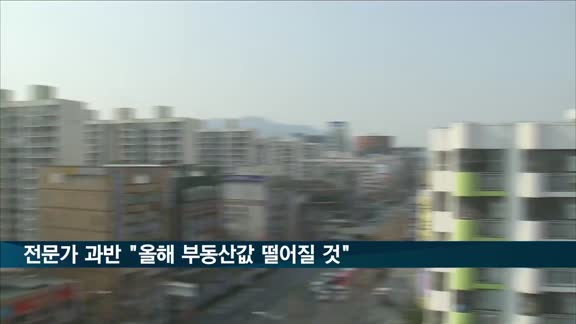 부동산 전문가 과반 "올해 가격 떨어진다"