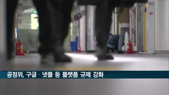 공정위, 구글·넷플릭스 등 플랫폼 규제 강화