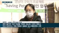 고양이·강아지 등 유기동물 급증…기업·동물보호단체, 손잡고 치료 등 유기동물지원 캠페인 펼친다